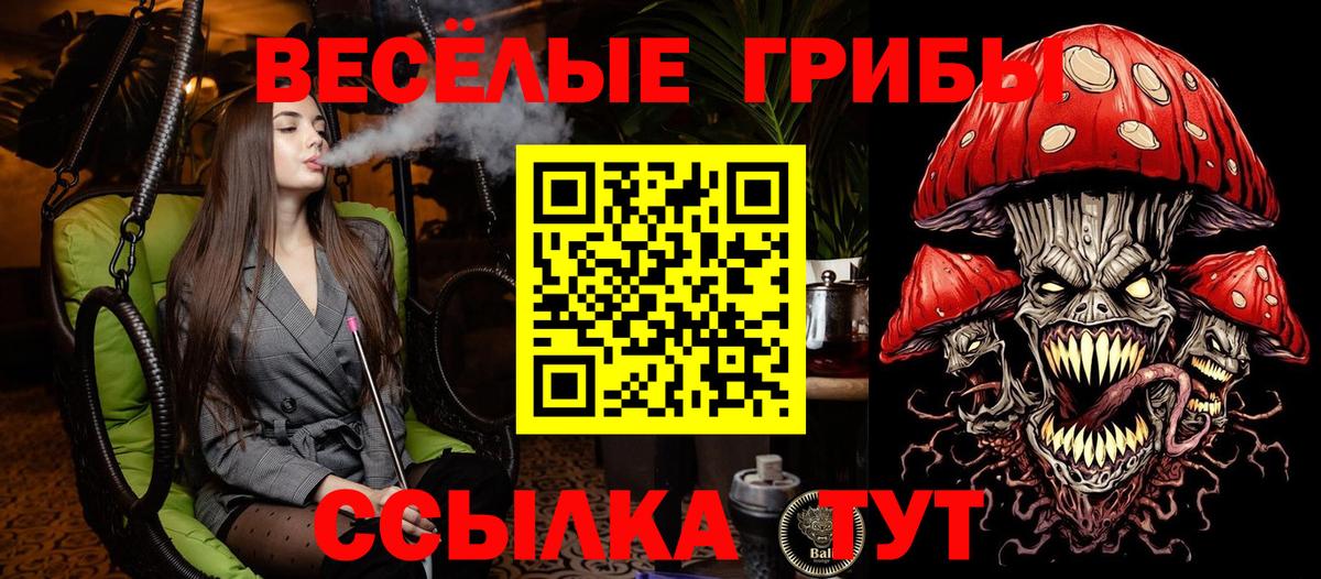 Псилоцибиновые грибы MAGIC MUSHROOMS  Вход с VPN  где продают   Галлюциногенные грибы Magic Shrooms  Ленинск-Кузнецкий 